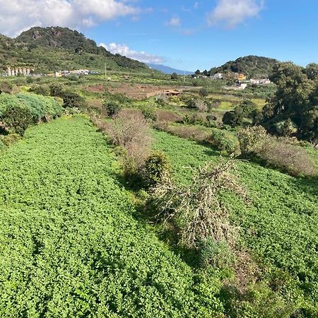 Mazo Casa Monterrey Tresヴィラ エクステリア 写真