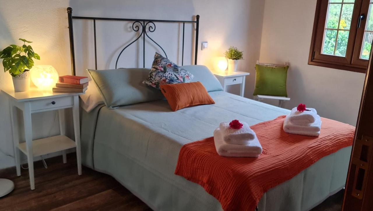 Mazo Casa Monterrey Tresヴィラ エクステリア 写真